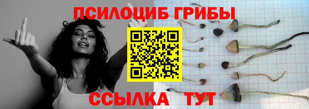 Галлюциногенные грибы мицелий Коломна